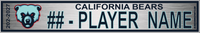 CALIFORNIA BEARS
