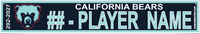 CALIFORNIA BEARS