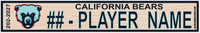 CALIFORNIA BEARS