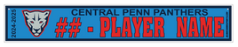 CENTRAL PENN PANTHERS