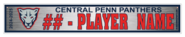 CENTRAL PENN PANTHERS