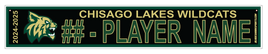 CHISAGO LAKES WILDCATS