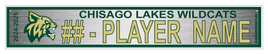 CHISAGO LAKES WILDCATS