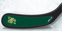 CHISAGO LAKES WILDCATS