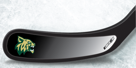 CHISAGO LAKES WILDCATS