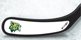 CHISAGO LAKES WILDCATS