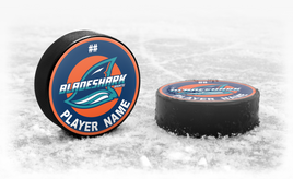 Team Collectible Puck