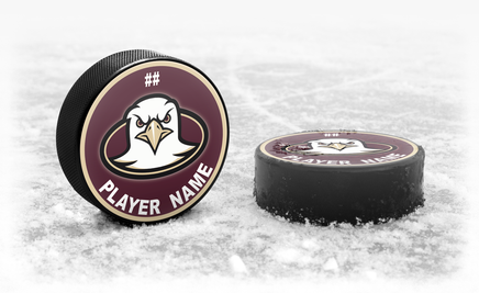 Custom Team Hockey Puck