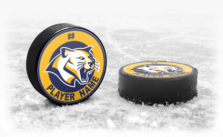 Custom Team Hockey Puck