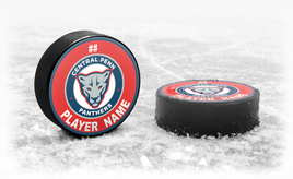 Custom Team Hockey Puck