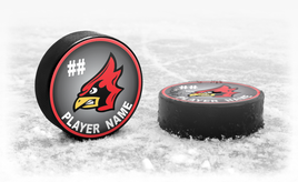 Custom Team Hockey Puck