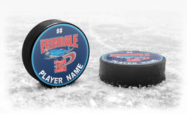 ERINDALE SPITFIRES