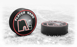 LAKEVILLE NORTH PANTHERS