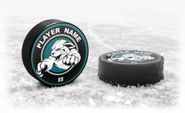 NORTH PITTSBURGH WILDCATS