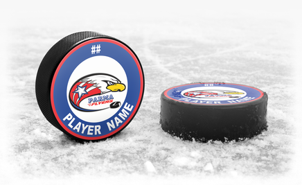 Custom Team Hockey Puck