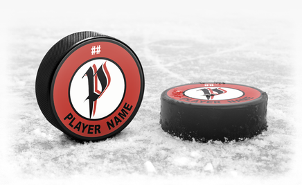 Custom Team Hockey Puck