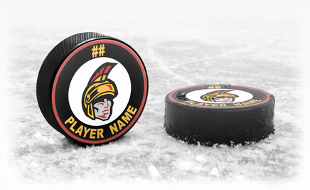 Custom Team Hockey Puck