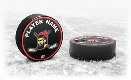 Custom Team Hockey Puck