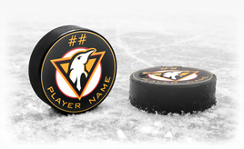 WILKES BARRE JR PENS