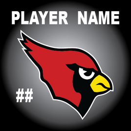MENTOR CARDINALS HS Football