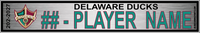 DELAWARE DUCKS