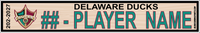 DELAWARE DUCKS
