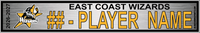 EAST COAST WIZARDS