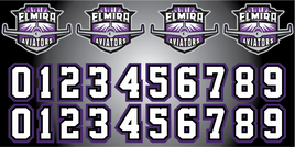 ELMIRA AVIATORS