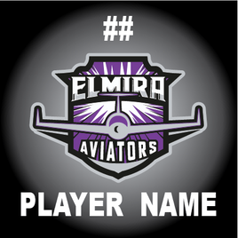 ELMIRA AVIATORS