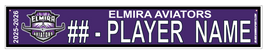 ELMIRA AVIATORS
