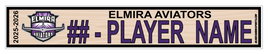 ELMIRA AVIATORS