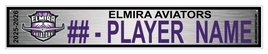 ELMIRA AVIATORS
