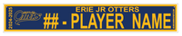 ERIE JR OTTERS