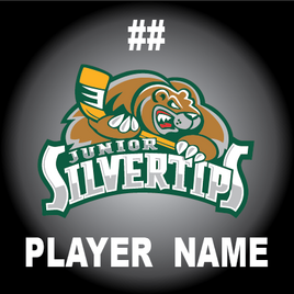 EVERETT JR SILVERTIPS