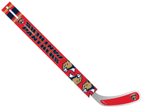 FLORIDA JR PANTHERS