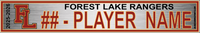 FOREST LAKE RANGERS