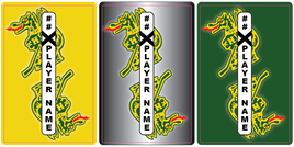 HAMDEN DRAGONS