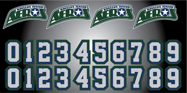 HOUSTON JR AEROS
