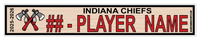 INDIANA CHIEFS