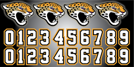 JOLIET JAGUARS