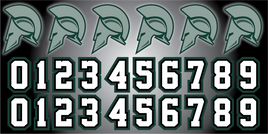 LANSING SPARTANS