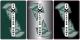 LANSING SPARTANS
