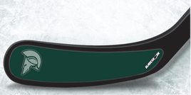 LANSING SPARTANS