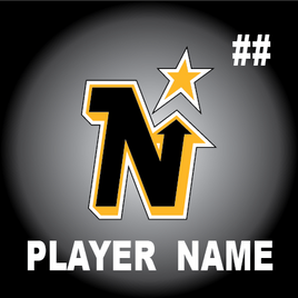 MCKINNEY NORTH STARS