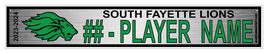 SOUTH FAYETTE LIONS