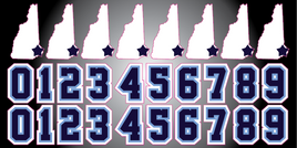 NEW HAMPSHIRE RIPTIDE