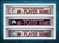 OGDEN JR MUSTANGS
