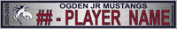 OGDEN JR MUSTANGS