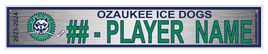 OZAUKEE ICE DOGS