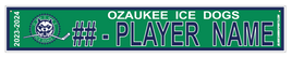 OZAUKEE ICE DOGS